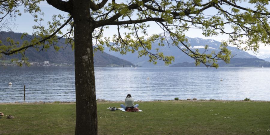Der Zugersee hat zu viel Phosphor. (Archivaufnahme)