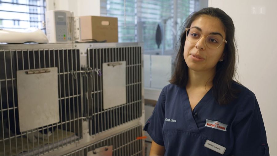 Tierärztin Sarah Lopez begründet dies auch mit dem «Druck, immer mehr Tiere in weniger Zeit zu behandeln».