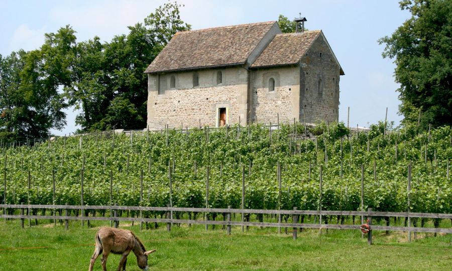 Die Kapelle St. Martin ...