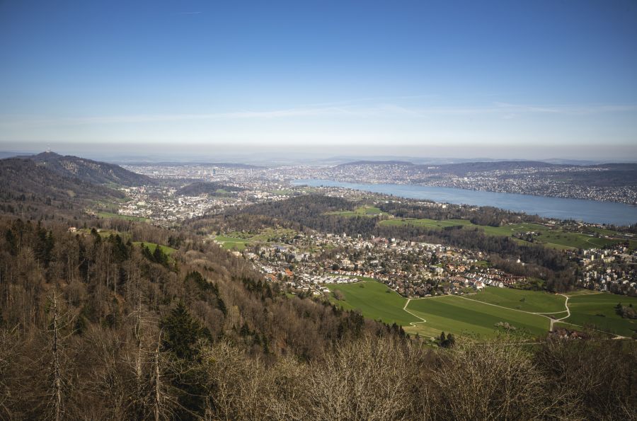 Zahlen zeigen: In der Stadt Zürich wurde innert zehn Jahren jede zwanzigste Wohnung leergekündigt.