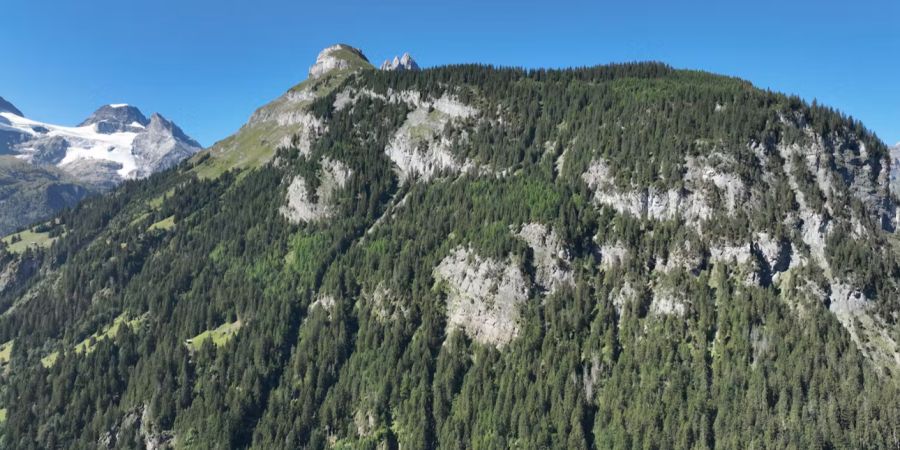 Stechelberg