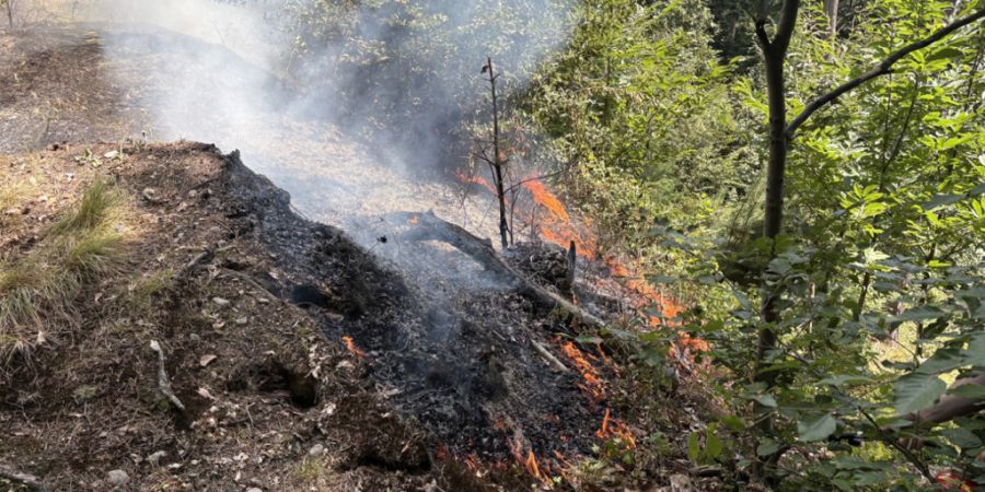 Die Feuerwehr verhinderte ein grossflächiges Ausbreiten des Feuers.