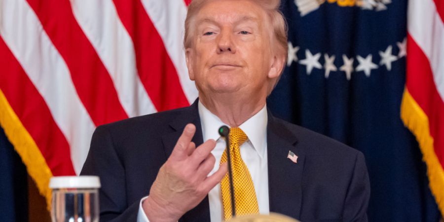 ARCHIV - US-Präsident Donald Trump spricht im East Room des Weißen Hauses. Foto: Alex Brandon/AP/dpa/Archivbild