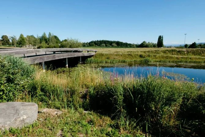 Volketswil