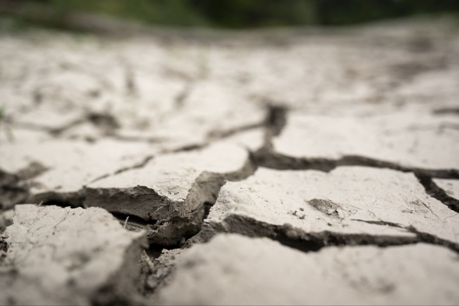 Doch auch bei diesem See ist der Wasserstand für die Jahreszeit ungewöhnlich tief.