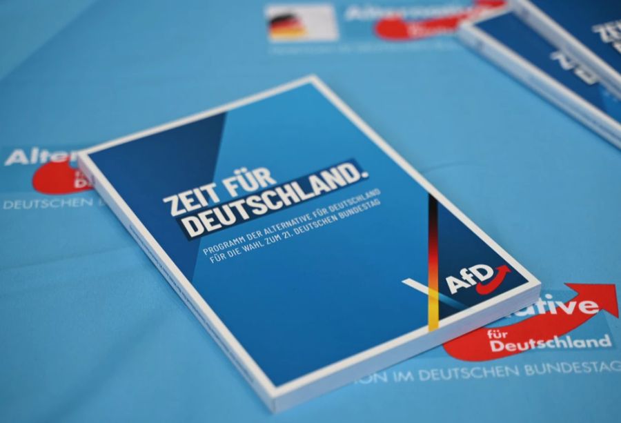 Die zum Teil rechtsextreme AfD ist landesweit neu die zweitstärkste Partei.