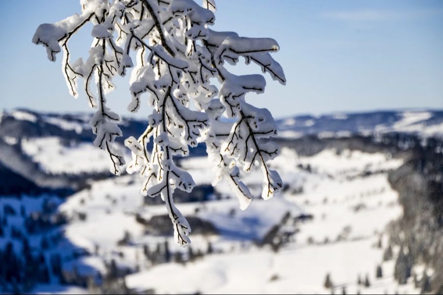 Dass der Schnee so lange liegen blieb, hat wohl vor allem mit der Luftfeuchtigkeit zu tun.