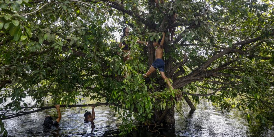 Amazonas Isolierter