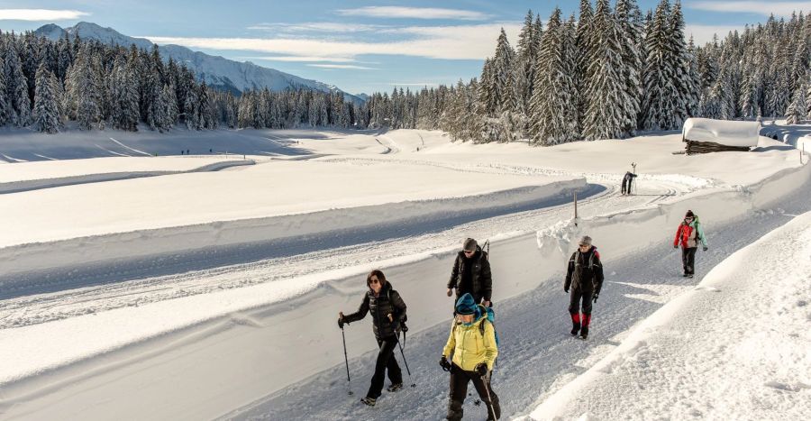 Schnee Wanderer Nadelwald Berge