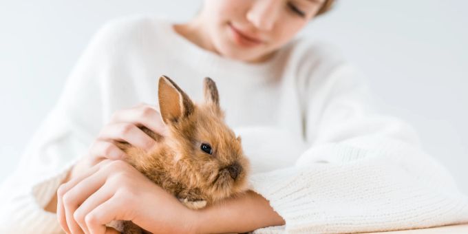 Die Haltung von Tieren im Klassenzimmer hat sowohl positive als auch negative Aspekte zum Thema Tierschutz. Tierschutz