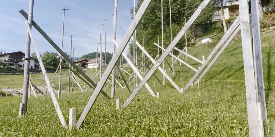 Wird innerhalb der Bauzone ein kleines Wohnbauprojekt geplant, sollen Verbände nicht mehr Beschwerde dagegen erheben können. (Themenbild)