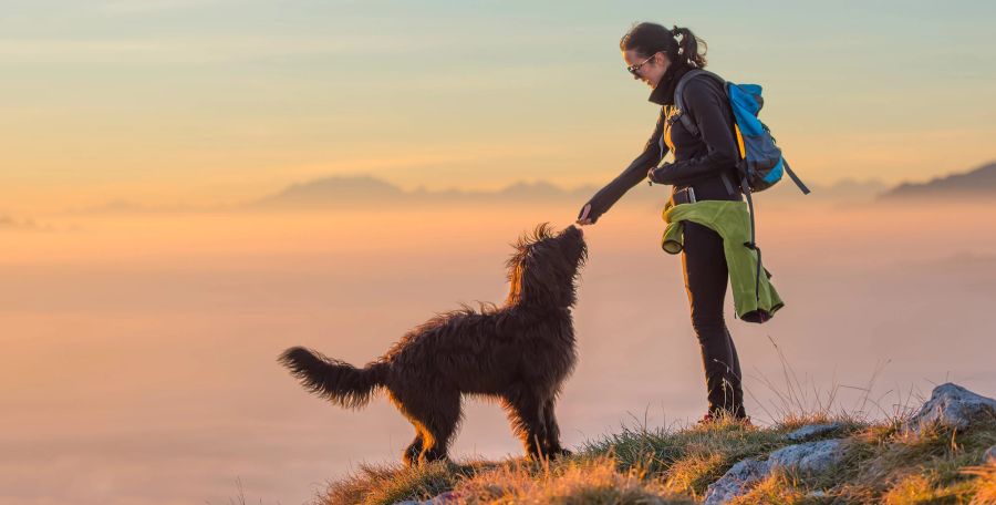 Hund und Frau