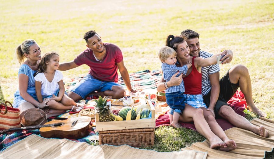 Familien, Picknick