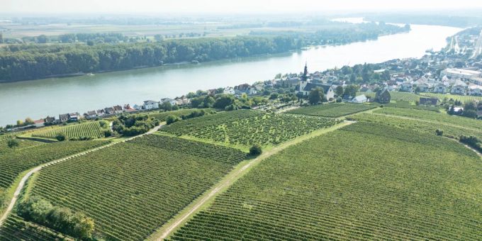Um viele europäische Gewässer steht es aktuell nicht gut. fluss