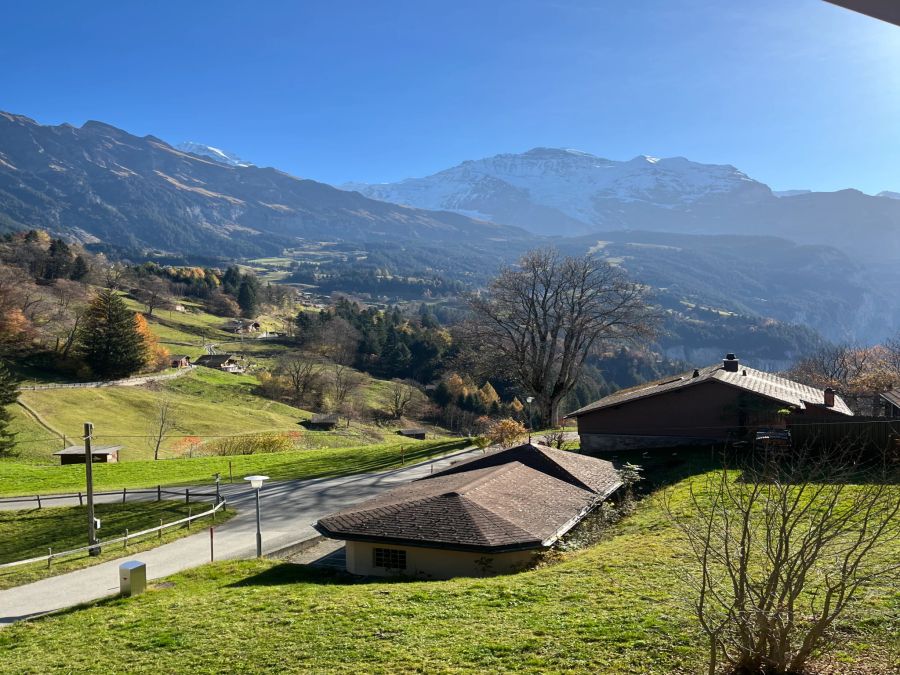 Die Aussicht von Wengwald auf die Jungfrau.