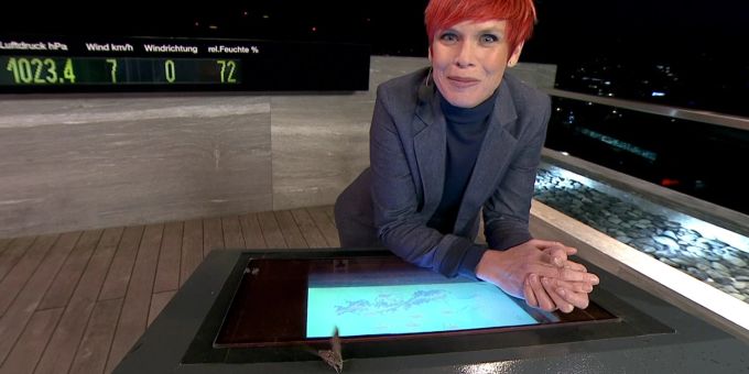 Bei «SRF Meteo» - Grusel-Tierli macht es sich auf Pult von Boner bequem