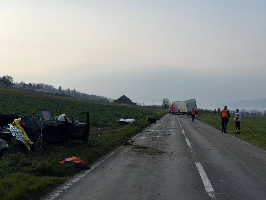 Am Montagmorgen kam es auf einer Landstrasse in Aesch LU zu einer schweren Kollision zwischen einem Auto und einem LKW.