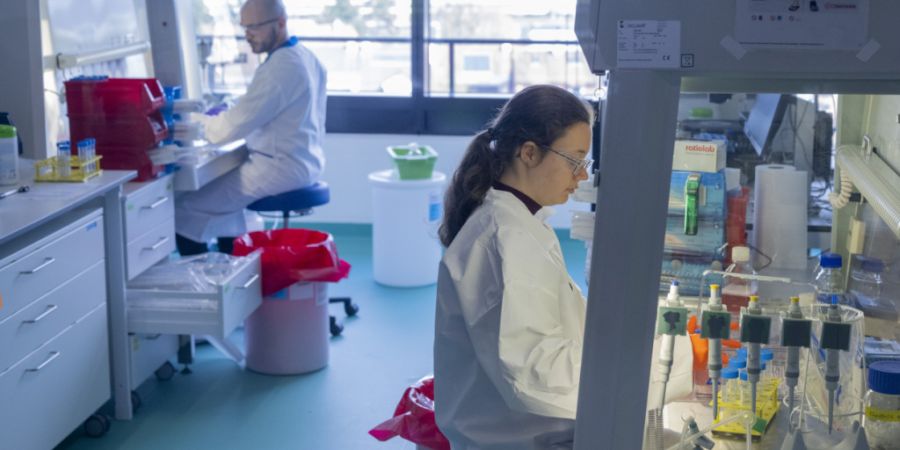 Im neuen Roche-Forschungsgebäude in Basel arbeiten bis zu 250 Personen an menschlichen Modellsystemen zur Entwicklung von Medikamenten.