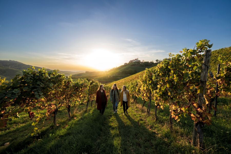 Schwarzwald Tourismus GmbH