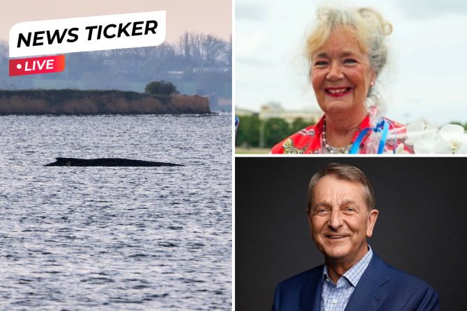 instagram/@rennbahnberlin, expert-marketplace.de