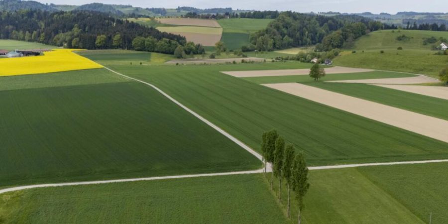 Im Kanton Aargau sollen die qualitativ wertvollsten ackerfähigen Landwirtschaftsflächen genau vermessen und erhalten bleiben. (Symbolbild)