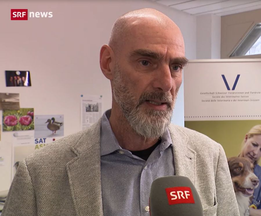 GST-Präsident Roberto Mossi vermutet, dass einige Tierhalter durch Recherche im Internet es besser zu wissen denken.