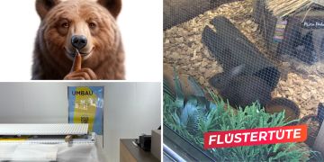 Loeb Hasen Schaufenster