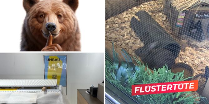 Loeb Hasen Schaufenster