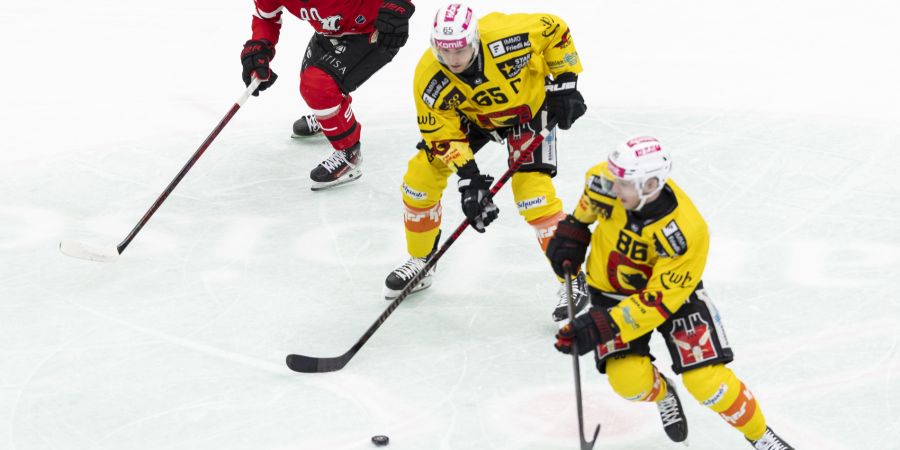 Untersander Vermin SC Bern