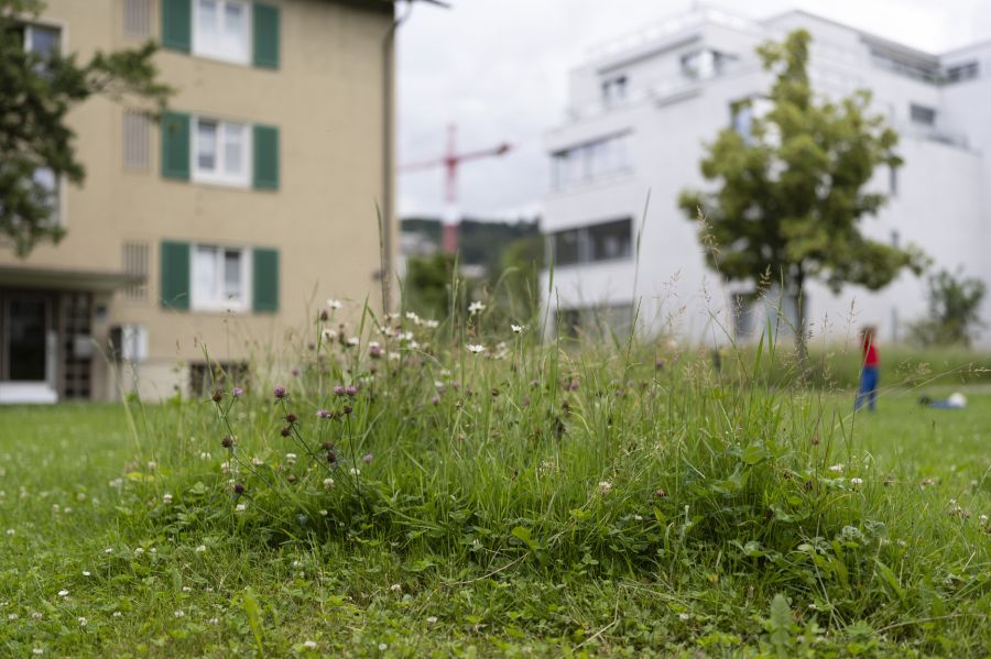 Das Zuhause gilt als sicherer Rückzugsort – doch auch im Eigenheim wird vermehrt auf klassische Schutzmassnahmen gesetzt.