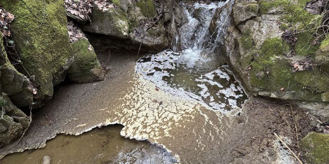 Chatzenbach verschmutzt