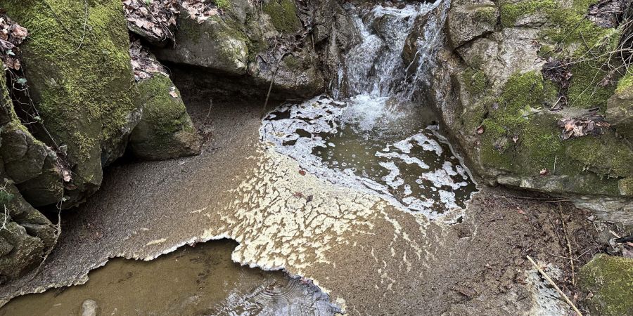 Chatzenbach verschmutzt