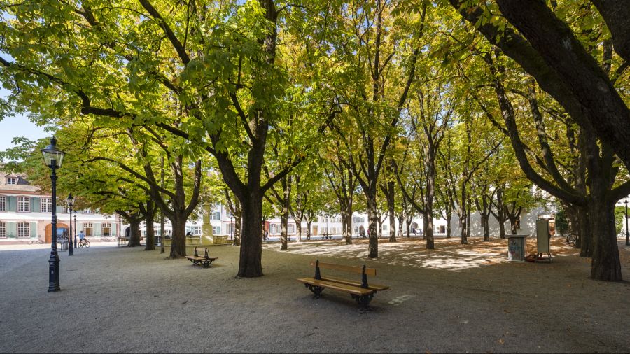 münsterplatz basel