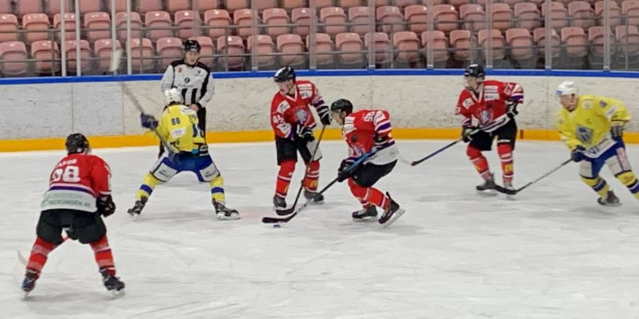 Eishockeyspieler auf dem Eis.