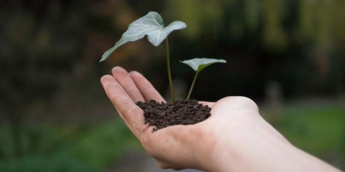 Im Jahr 2016 startete das Unternehmen sein ersten Baum-Pflanzprojekt in Burkina Faso. Bäume pflanzen