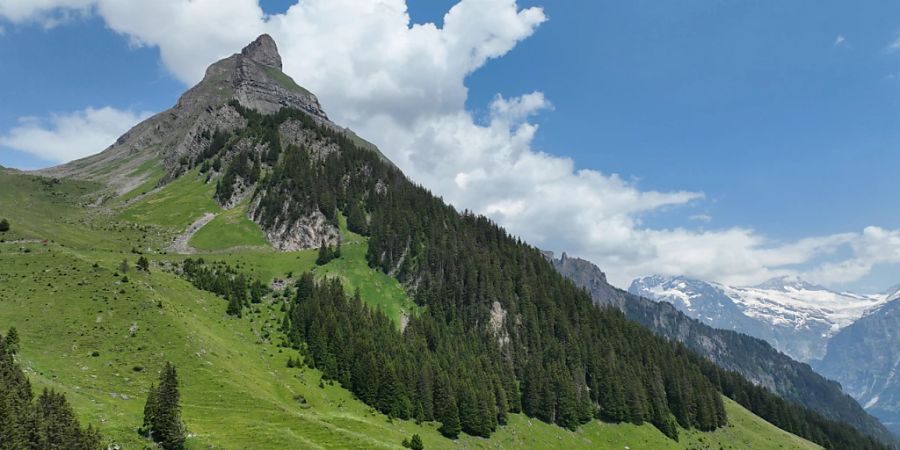 Ein Basejumper ist am frühen Montagnachmittag nach einem Sprung mit einem Wingsuit oberhalb der Region «Spycheregg» tödlich verunglückt.