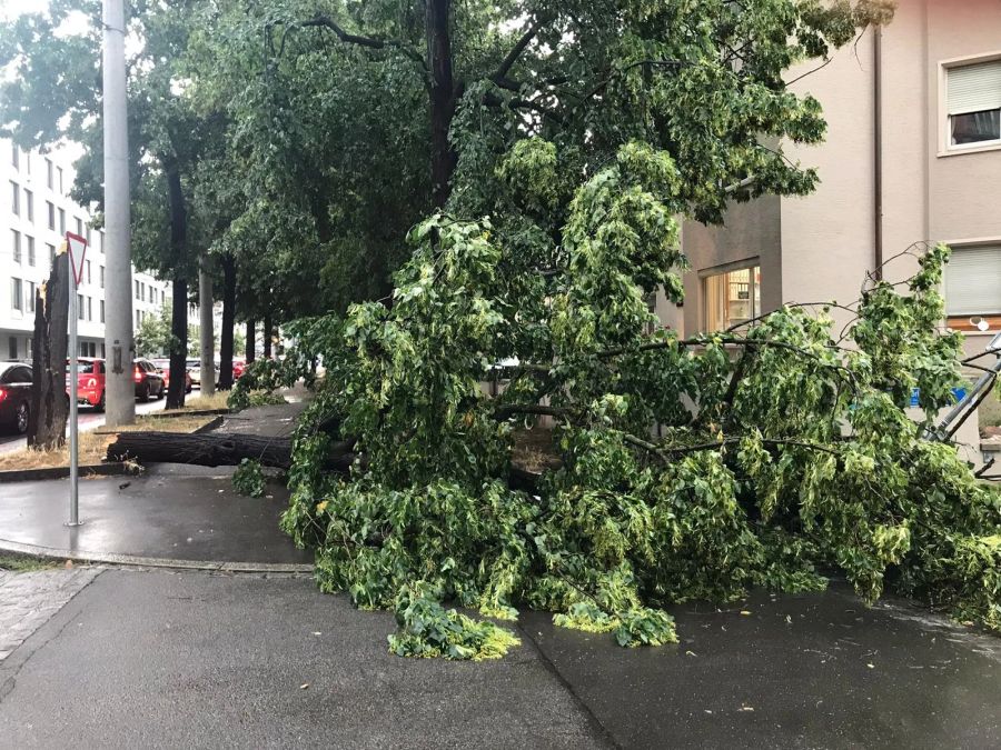 Basel Unwetter