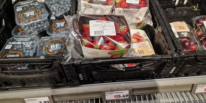 In einer Berner Aldi-Filiale liegen belgische Erdbeeren in einem Regal, das mit «Schweizer Erdbeeren» gekennzeichnet ist. aldi