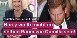 Bei Blitzbesuch - Harry wollte nicht im selben Raum wie Camilla sein!