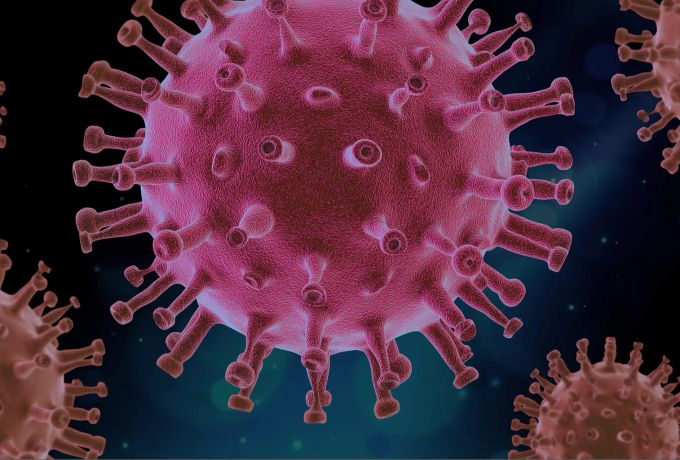 Virus Symbolbild