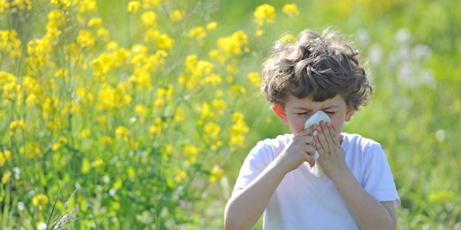 Allergien zeigen sich durch erkältungsähnliche Symptome.