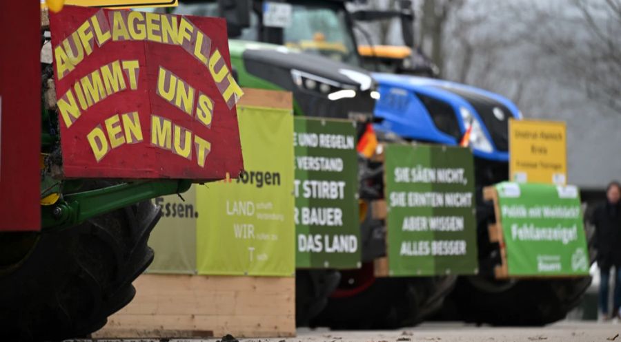 Ausgerechnet jene Betriebe, die freiwillig bei Tierwohlprogrammen des Bundes mitmachen und strengere Auflagen einhalten, verlieren dadurch oft Geld. (Symbolbild)