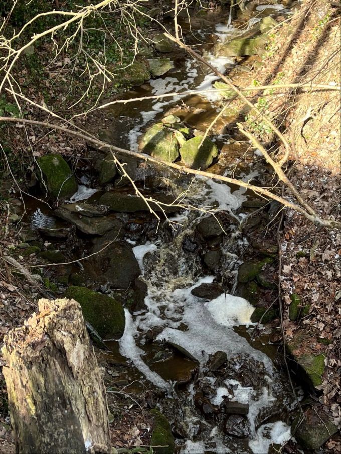 Die Feuerwehr richtete eine Bachsperre ein. Verschmutzung im Mehlbach