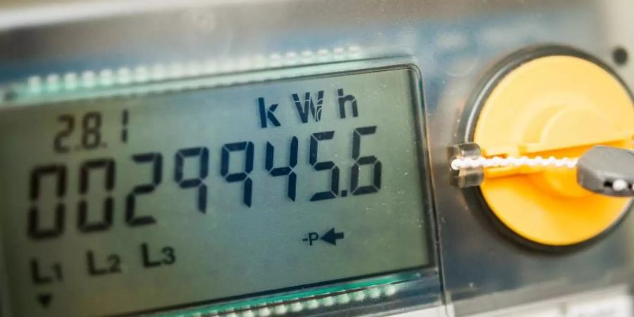 Die Haushalte in Deutschland haben im vergangenen Jahr so viel für ihren Strom bezahlt wie noch nie. Foto: Patrick Pleul/dpa-Zentralbild/dpa
