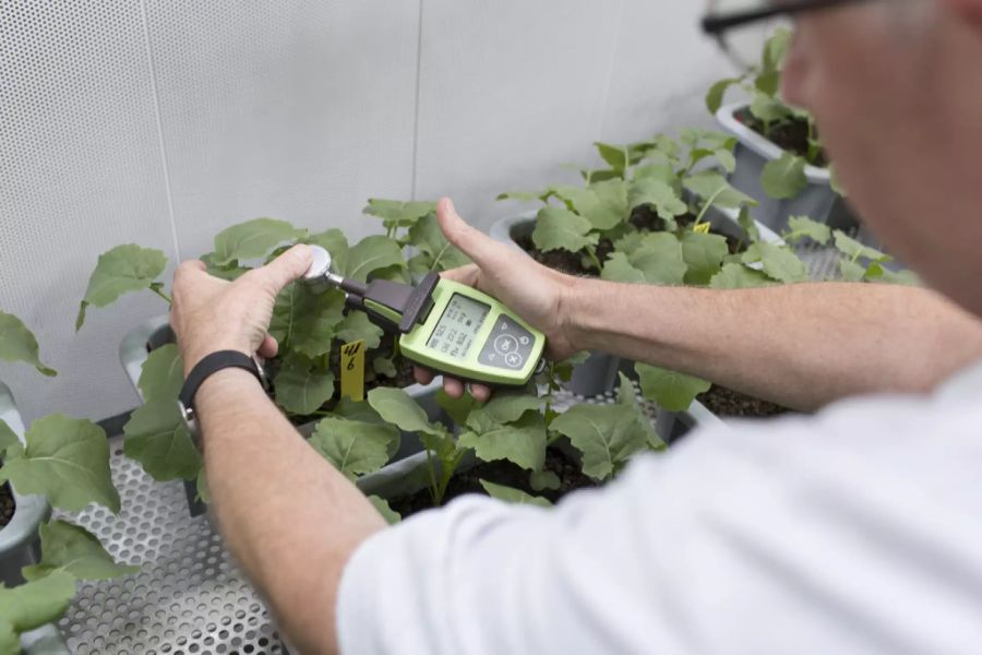 Forschung Landwirtschaft Pestizide