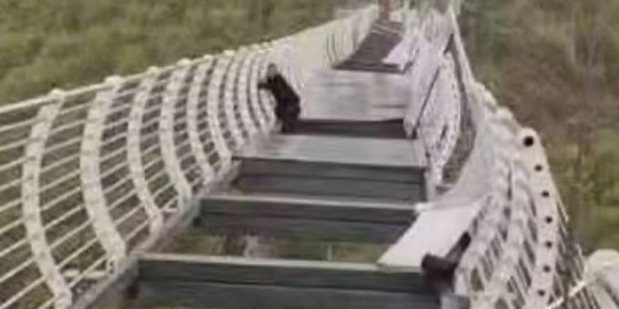 Ein Mann hält sich am Brückengeländer einer Glasbodenbrücke im Piyan Mountain Resort fest. glasbrücke Zhangjiajie