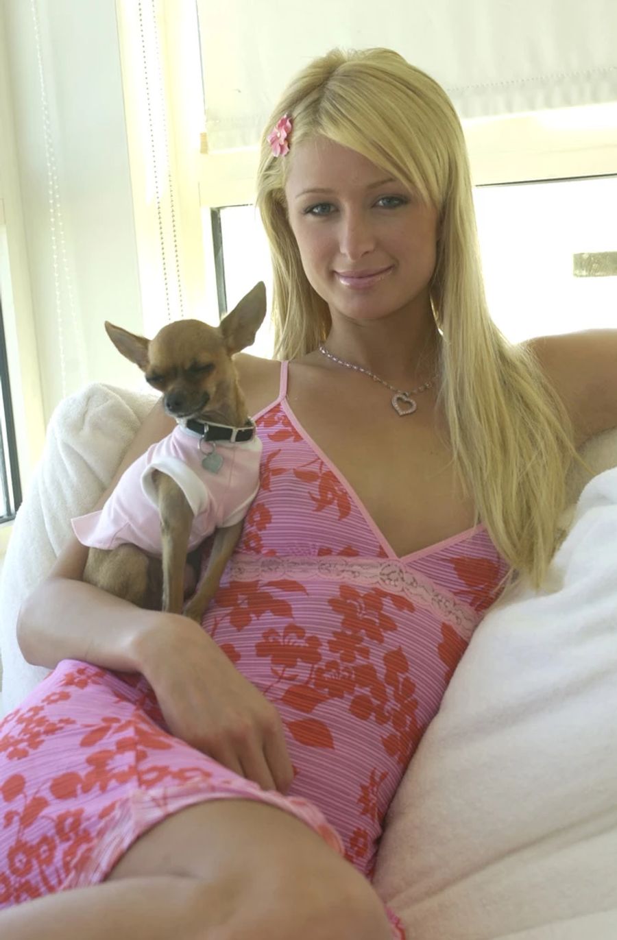 Paris Hilton Hund