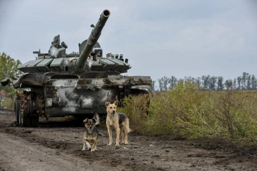 Ukraine-Krieg Cherson