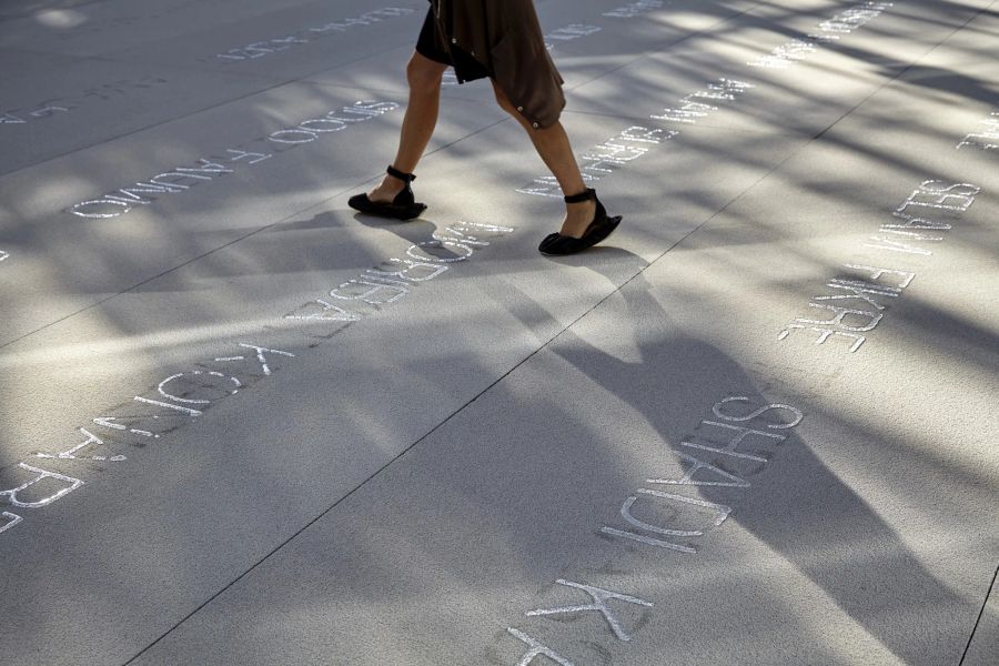 Doris Salcedo