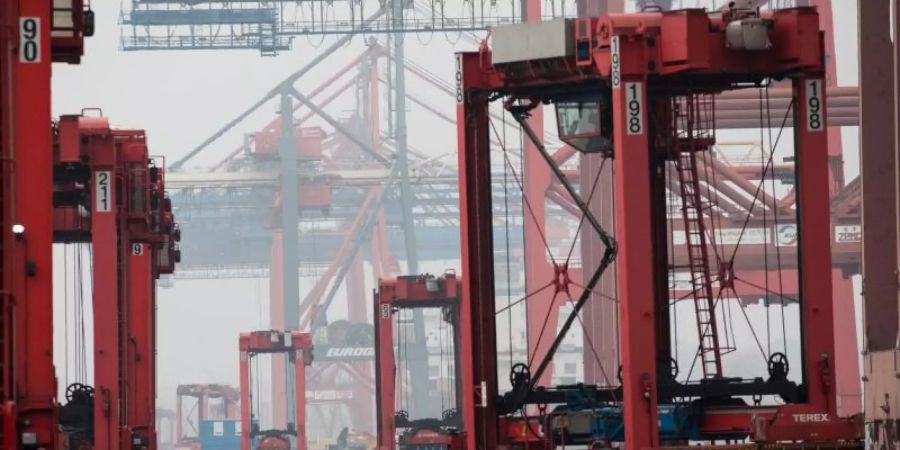 Be- und Entladung auf dem Terminal Eurokai im Hafen Hamburg: Aussenhandelsexperten rechnen mit nahezu null Wachstum in diesem Jahr. Foto: Christian Charisius/dpa